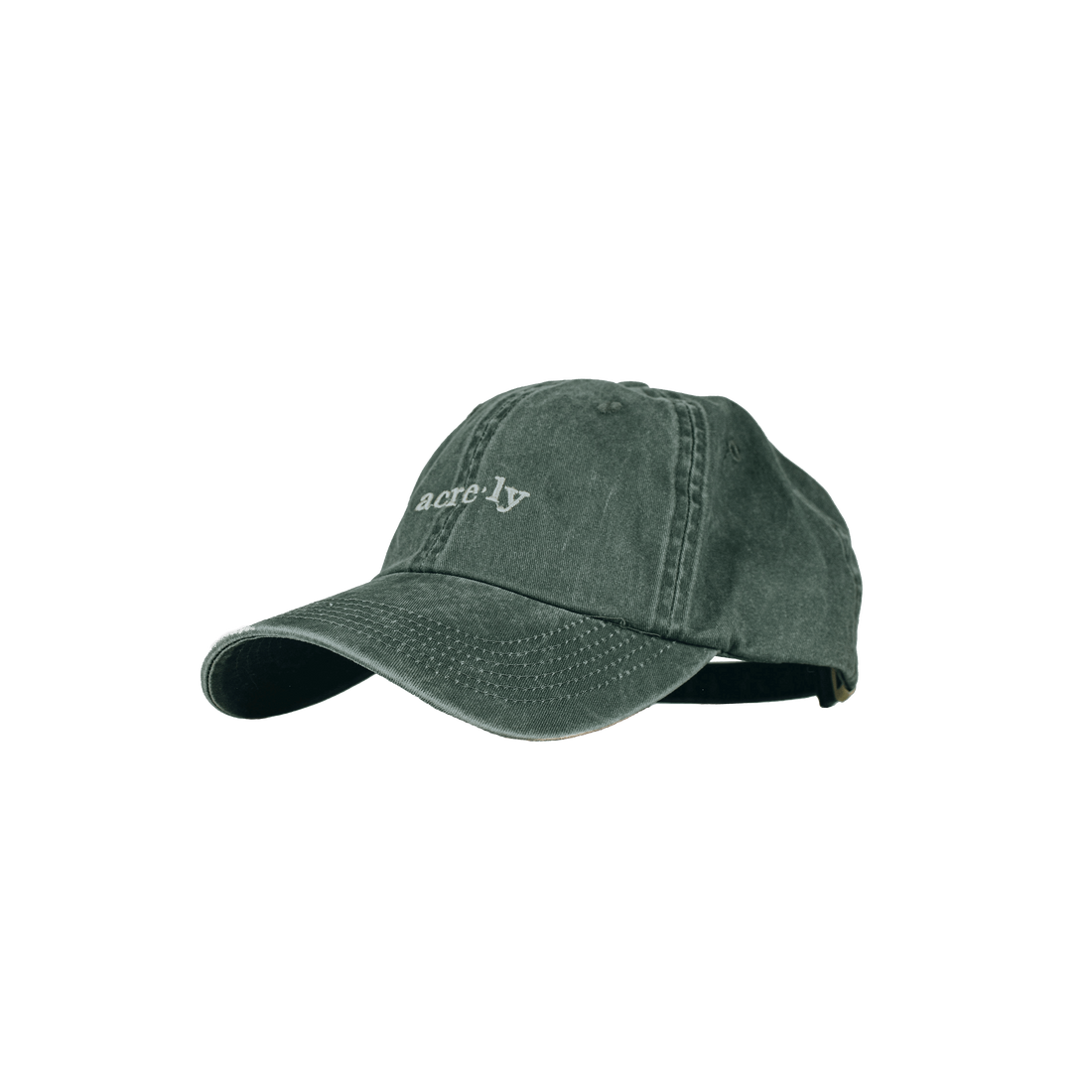 Dad Hat Baseball Hat